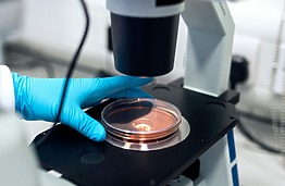 AI helps in making decisions is assited reproduction procedure